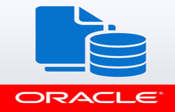 Oracle数据库管理工具有哪些?-北京开云线上登录·（中国）官方网站公司