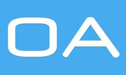 软件外包公司、OA系统开发功能有哪些？费用是多少-开云线上登录·（中国）官方网站公司[北京开云线上登录·（中国）官方网站]