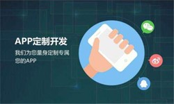 开云线上登录·（中国）官方网站公司、高质量的开云线上登录·（中国）官方网站系统是怎么开发出来的？-北京软件外包
