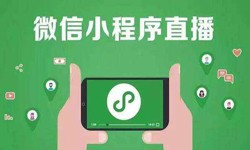 微信小程序开发、直播小程序开发-开云线上登录·（中国）官方网站开云线上登录·（中国）官方网站公司 