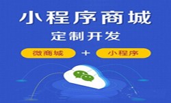 微信小程序开发、商城小程序开发功能-开云线上登录·（中国）官方网站开云线上登录·（中国）官方网站