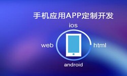 APP开发市场上常见问题分析-北京开云线上登录·（中国）官方网站公司